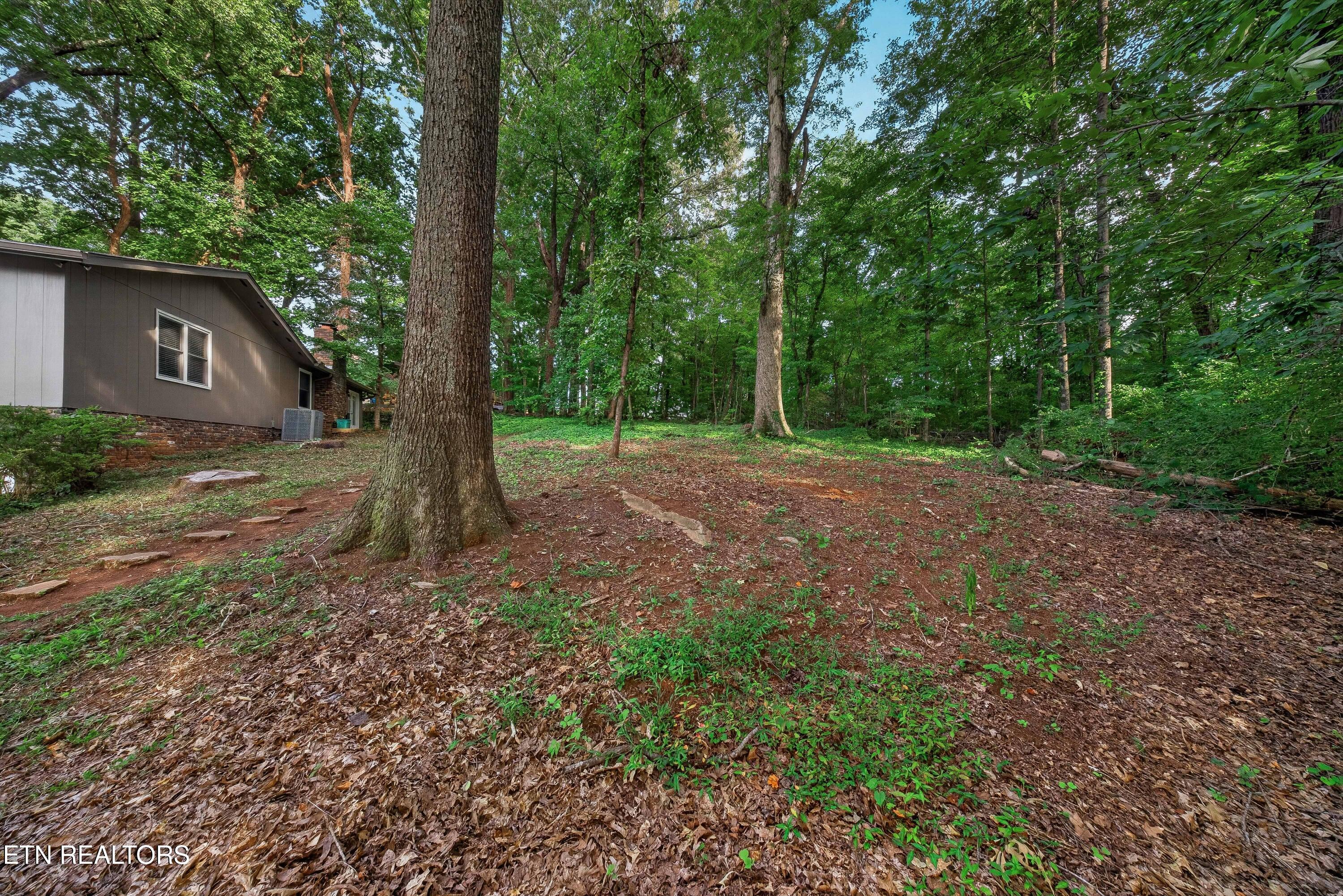 6933 Riverwood Drive Knoxville TN 37920