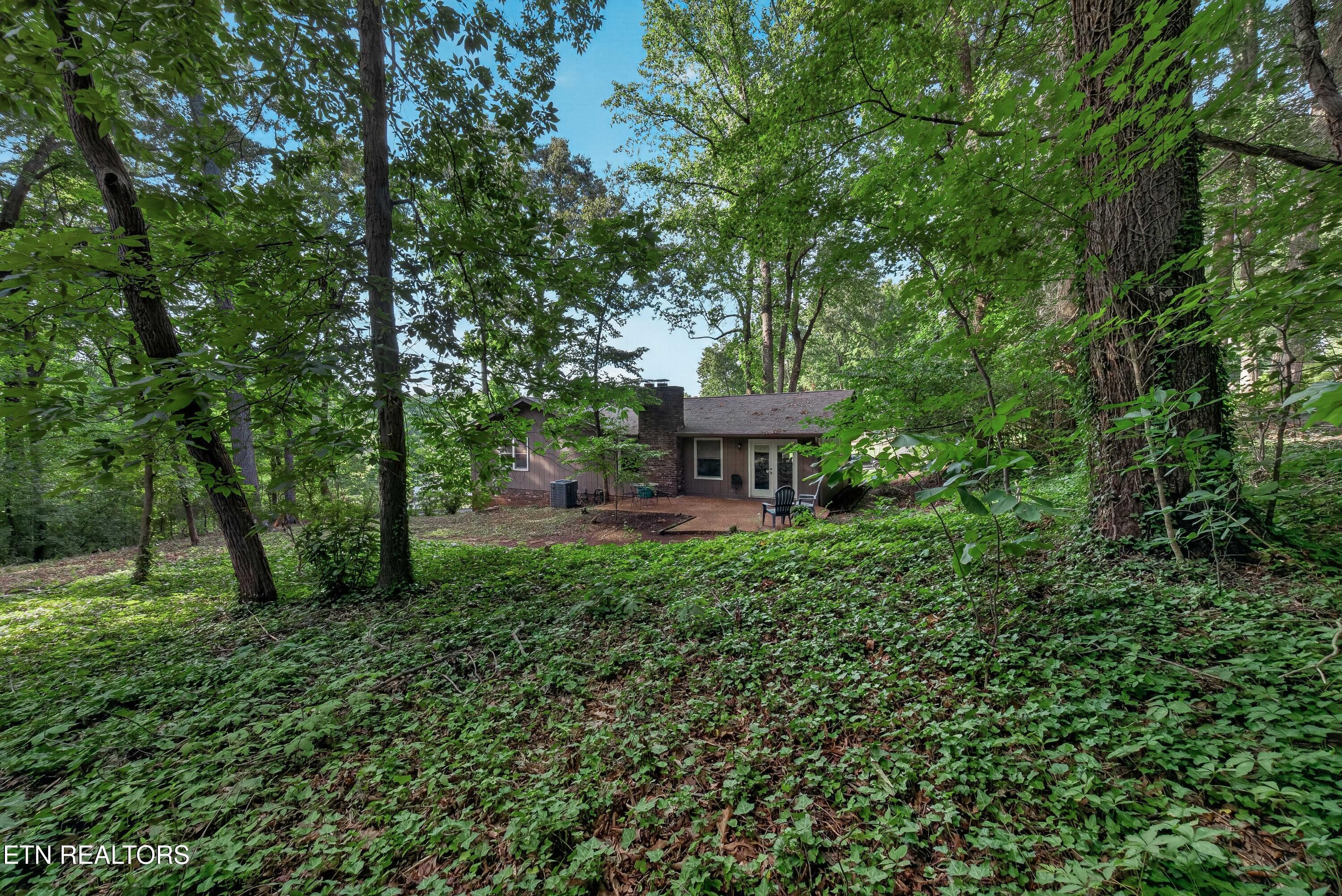 6933 Riverwood Drive Knoxville TN 37920
