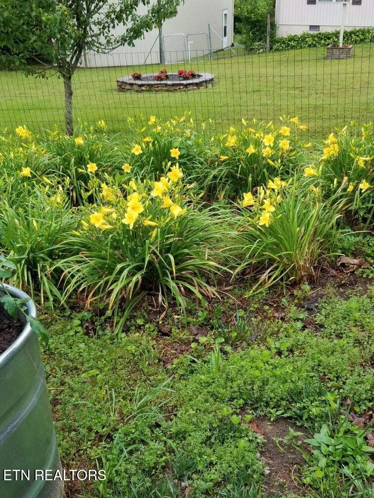 1044 Ackia Drive Crossville TN 38572