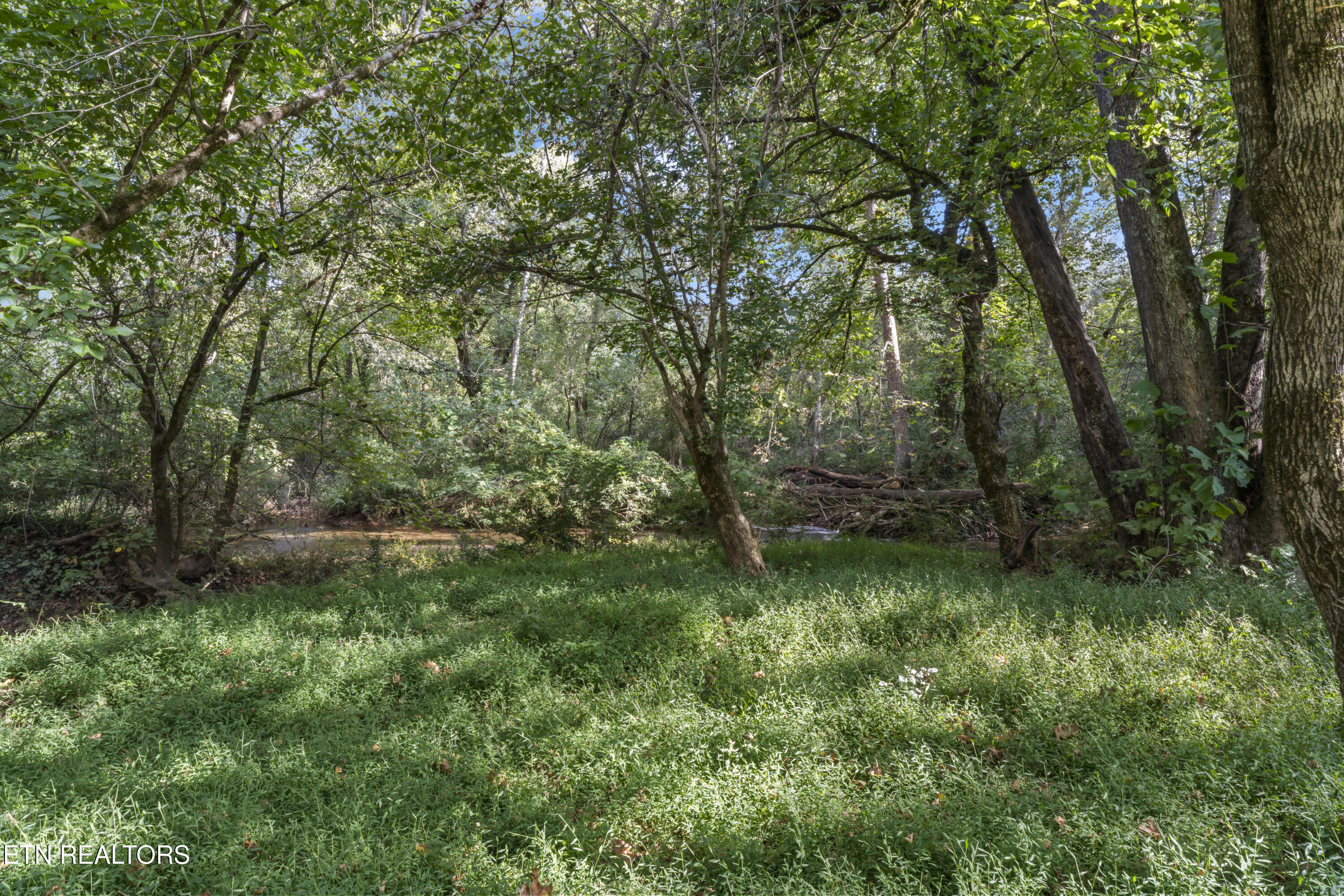 194 Sweet Gum Lane Oak Ridge TN 37830