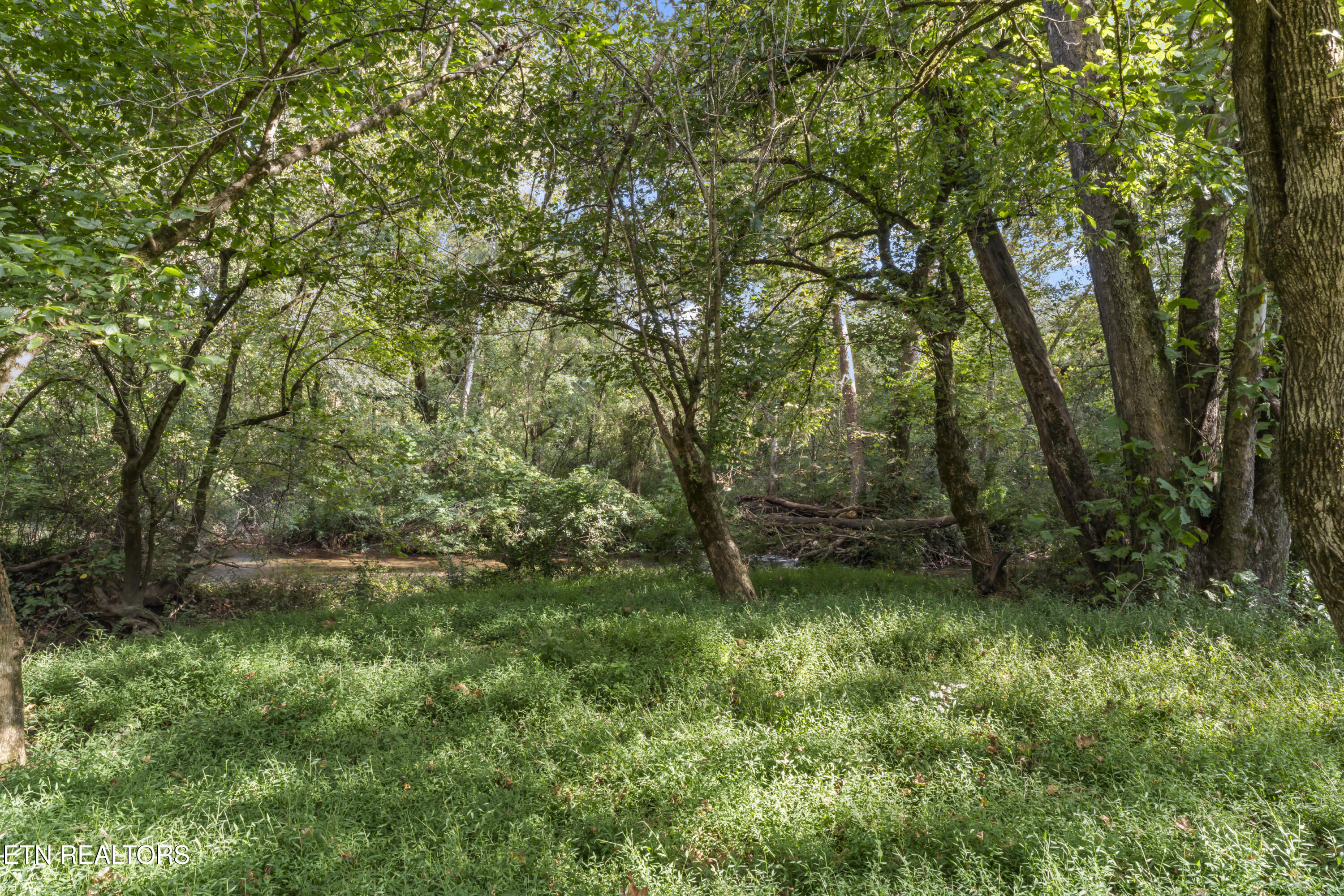 194 Sweet Gum Lane Oak Ridge TN 37830