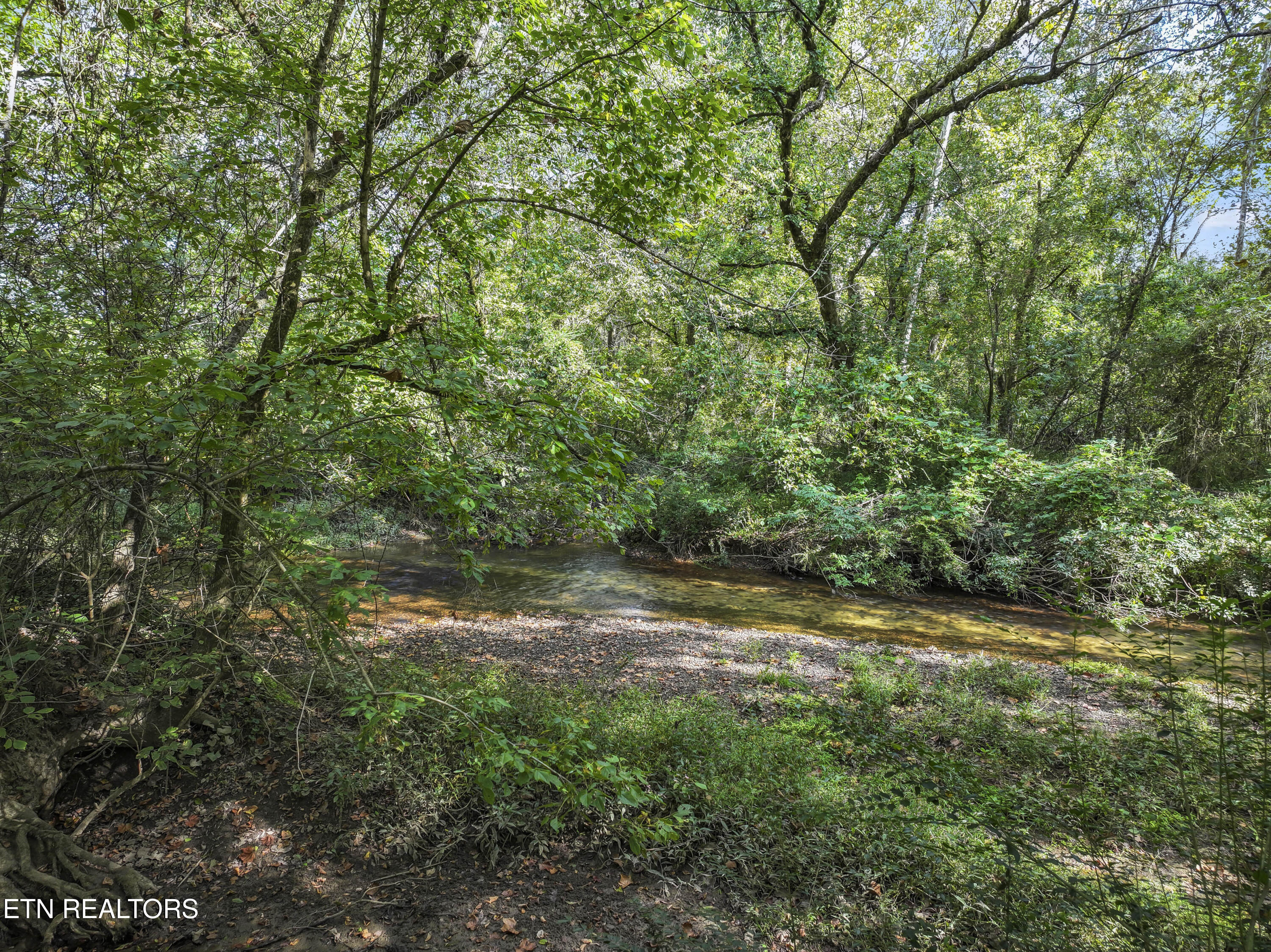 194 Sweet Gum Lane Oak Ridge TN 37830