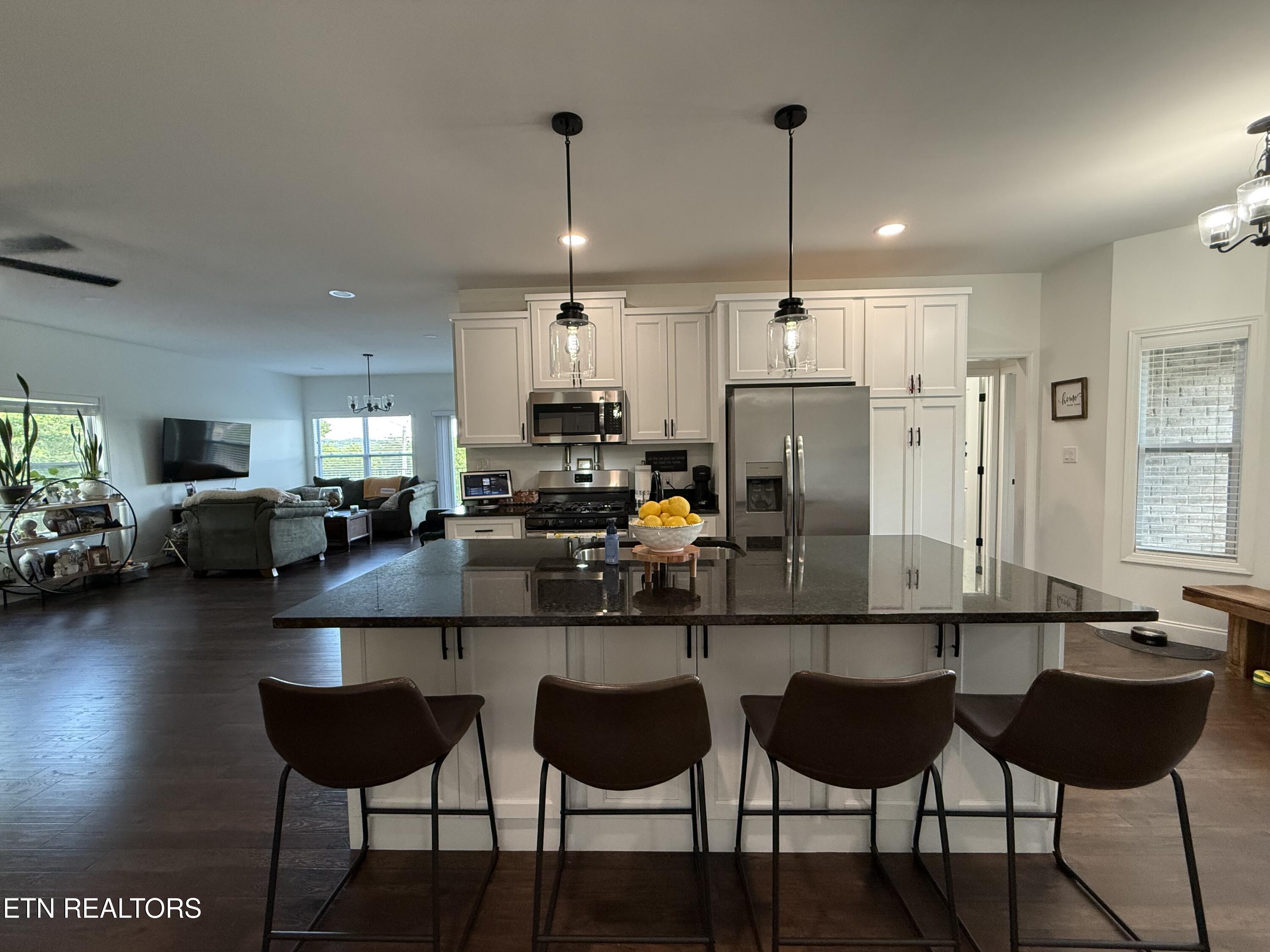 454 Lake Vista Drive Baneberry TN 37890