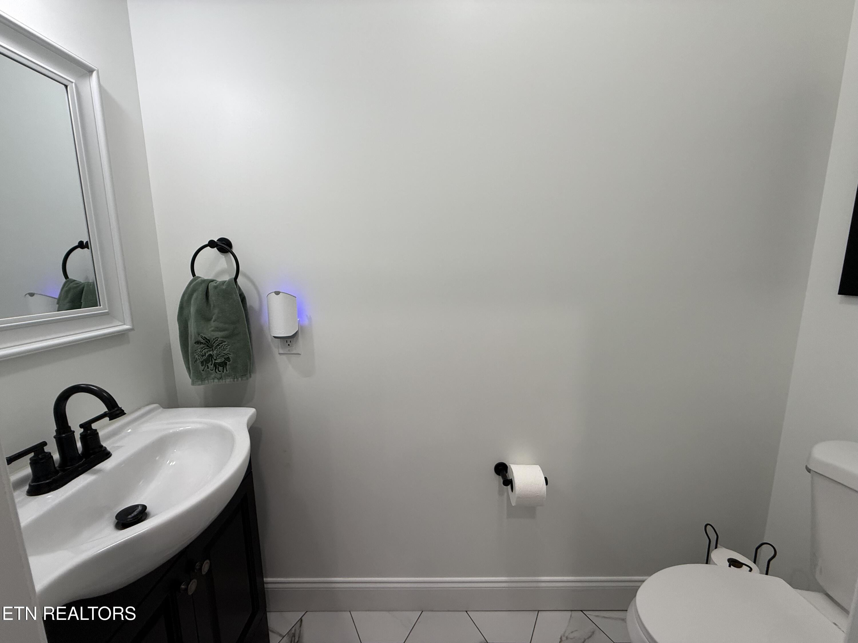 454 Lake Vista Drive Baneberry TN 37890