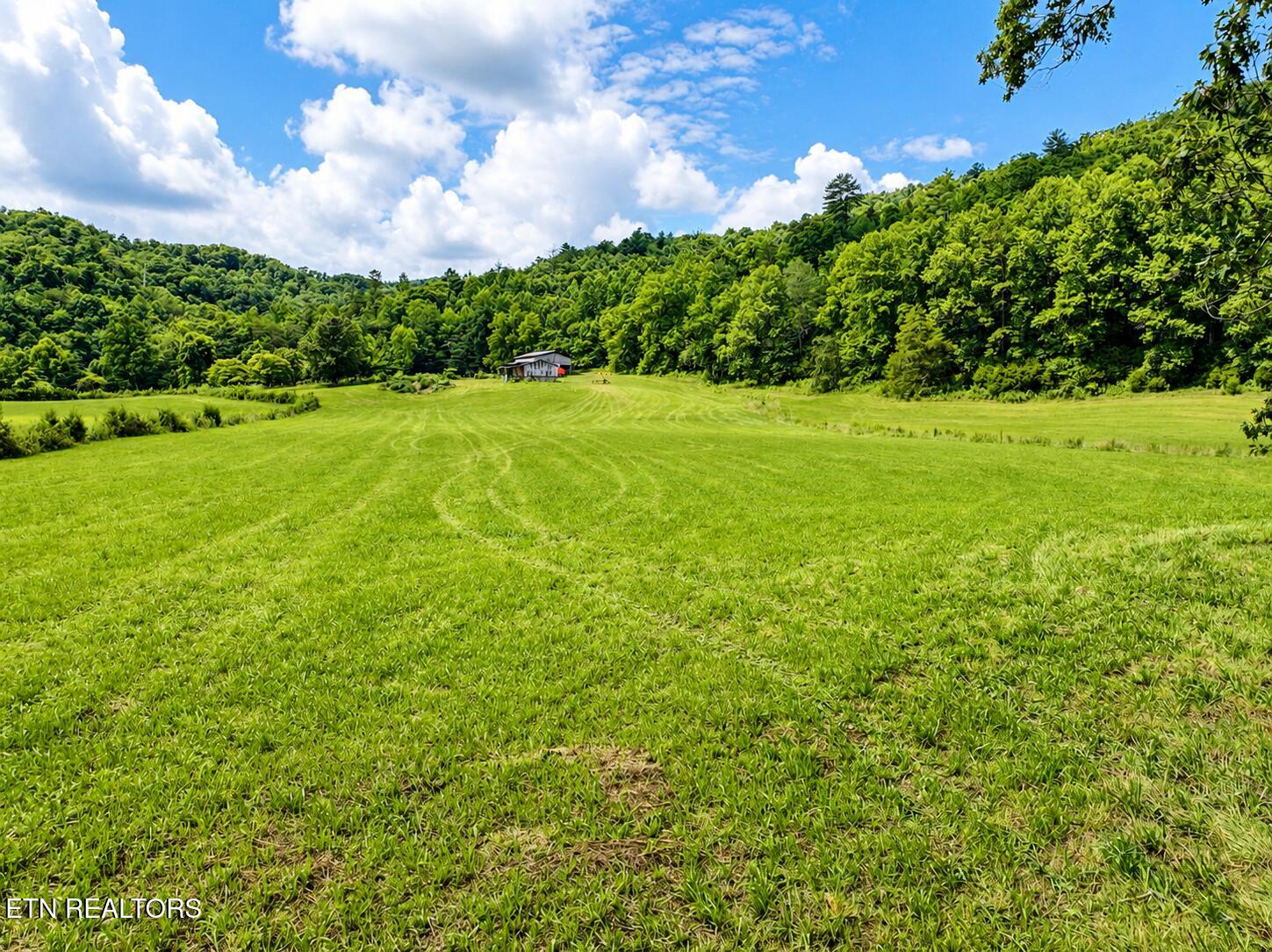 7914 Brimstone Road Robbins TN 37852