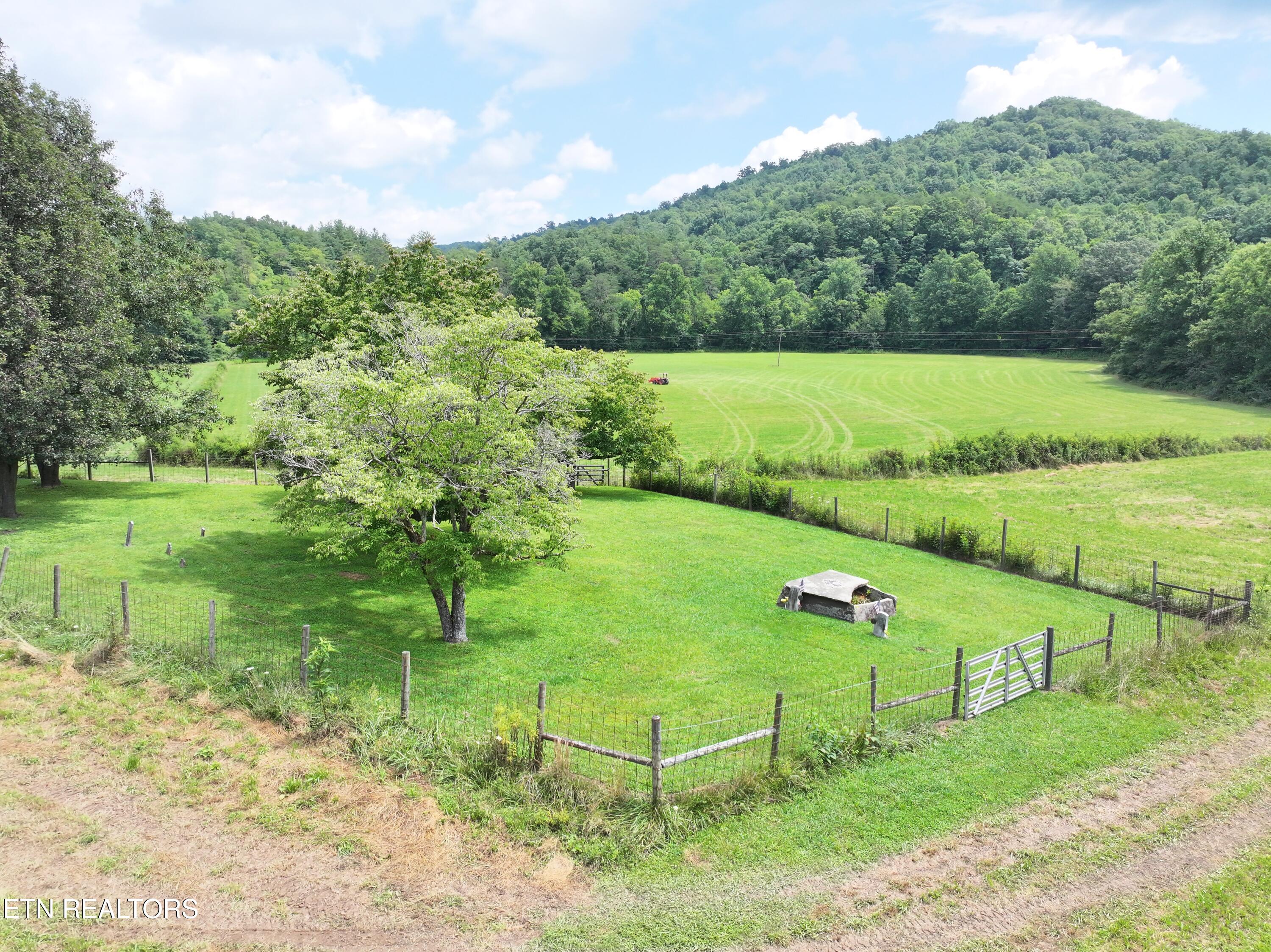 7914 Brimstone Road Robbins TN 37852