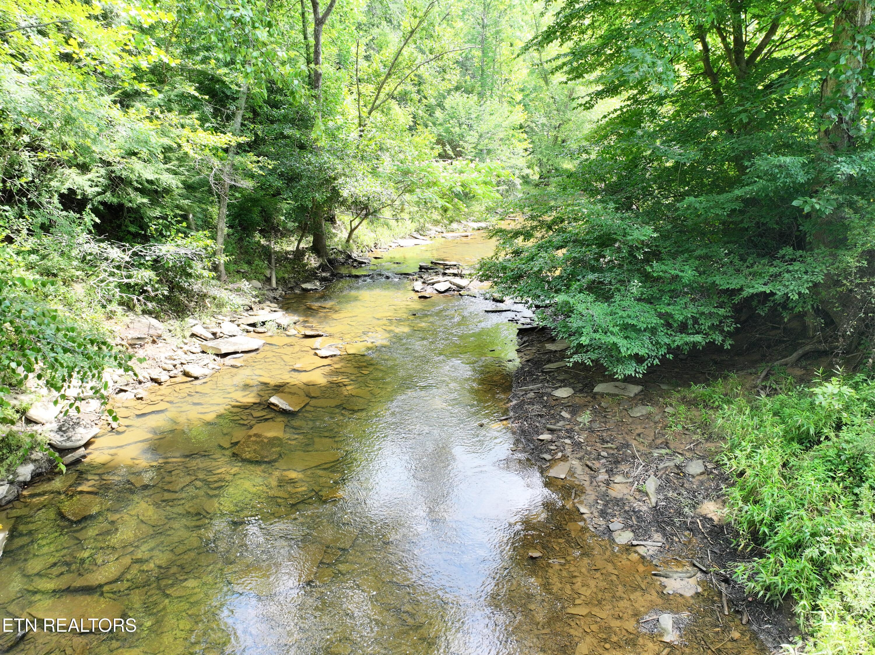 7914 Brimstone Road Robbins TN 37852