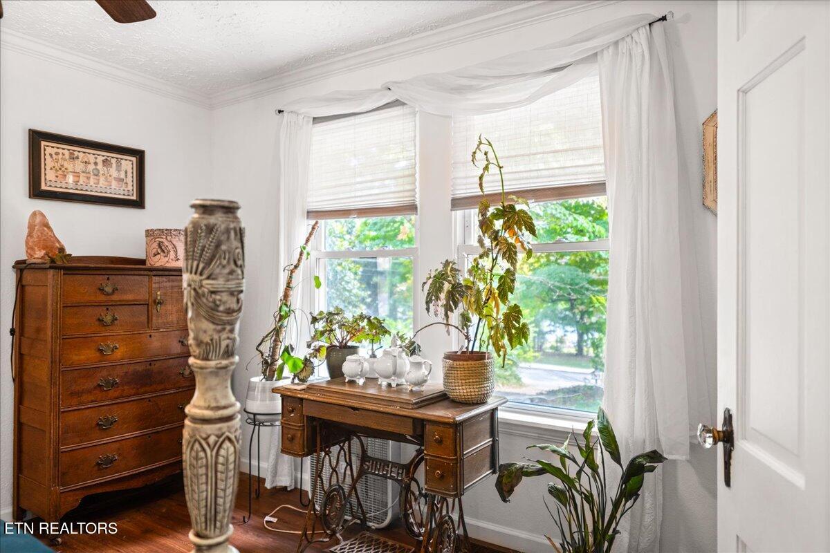 703 Midlake Drive Knoxville TN 37918