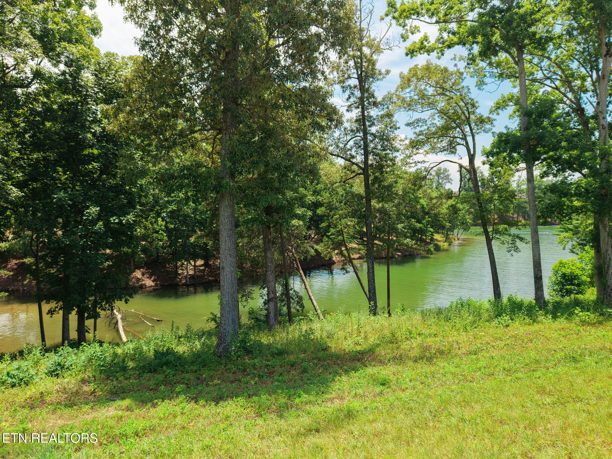161 Careen Court Lenoir City TN 37772