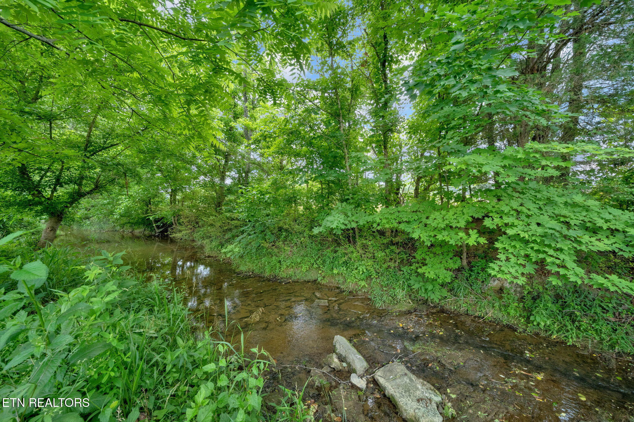 3453 Bailey Ranch Road Kingsport TN 37660