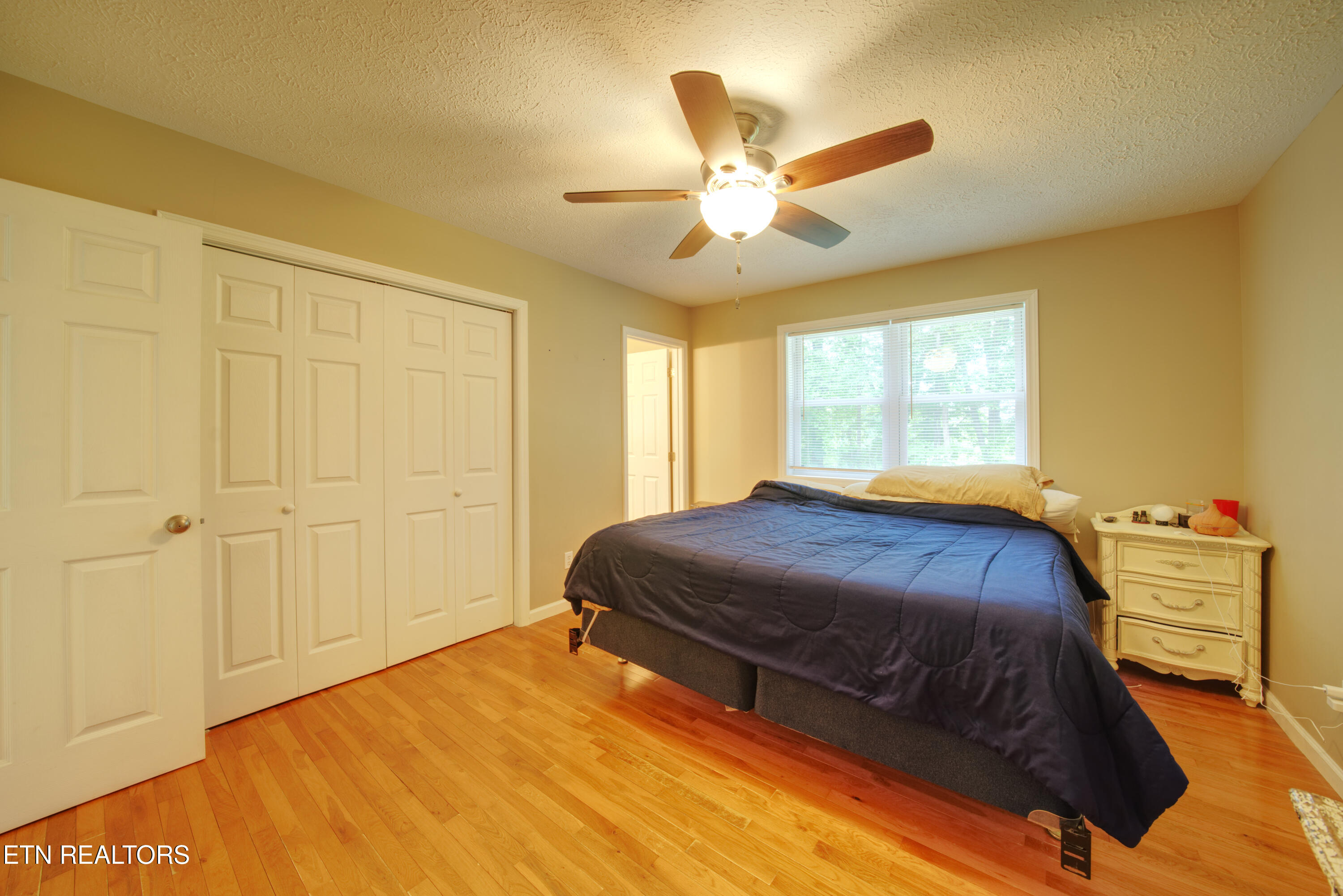 209 Summit Drive Speedwell TN 37870