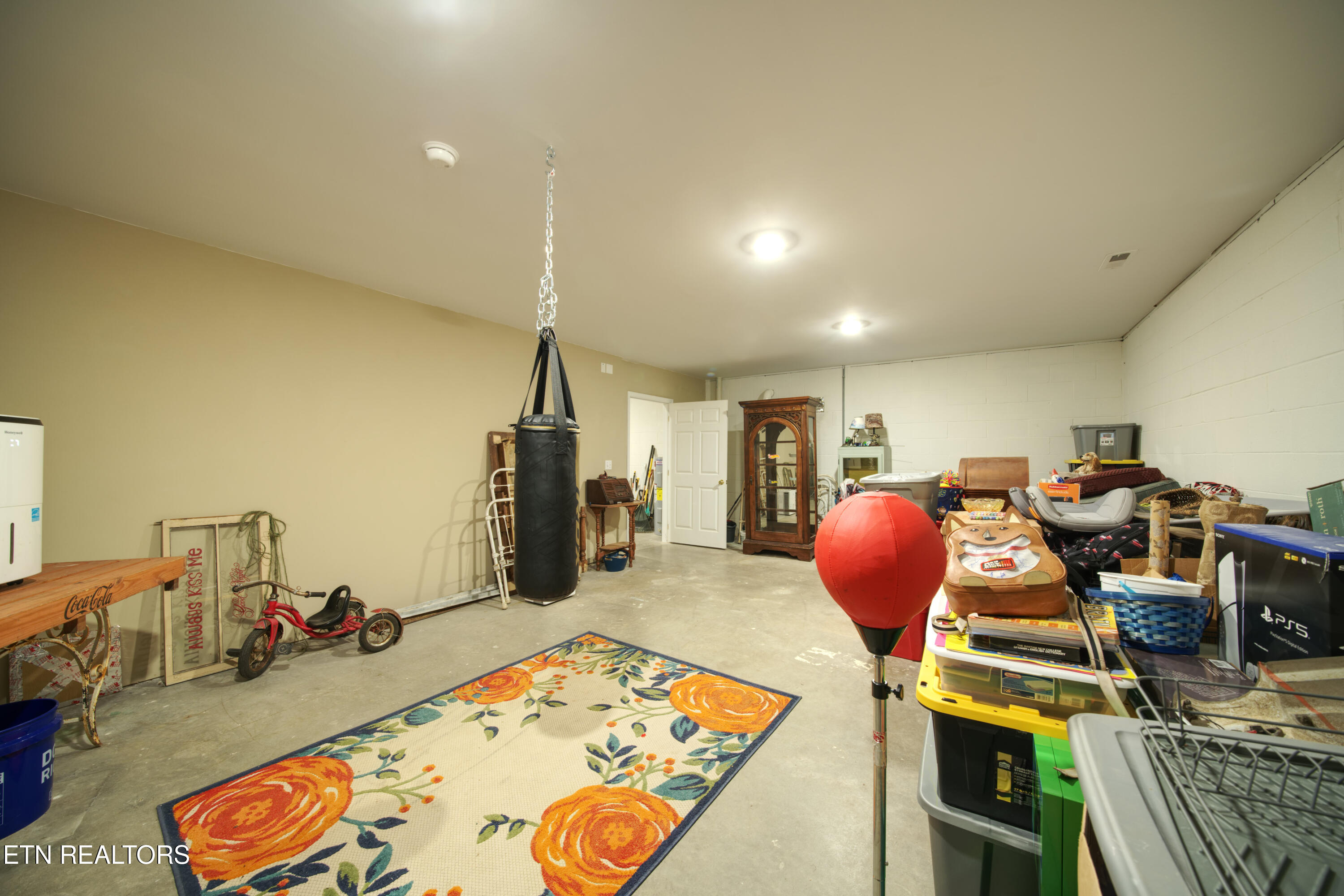 209 Summit Drive Speedwell TN 37870
