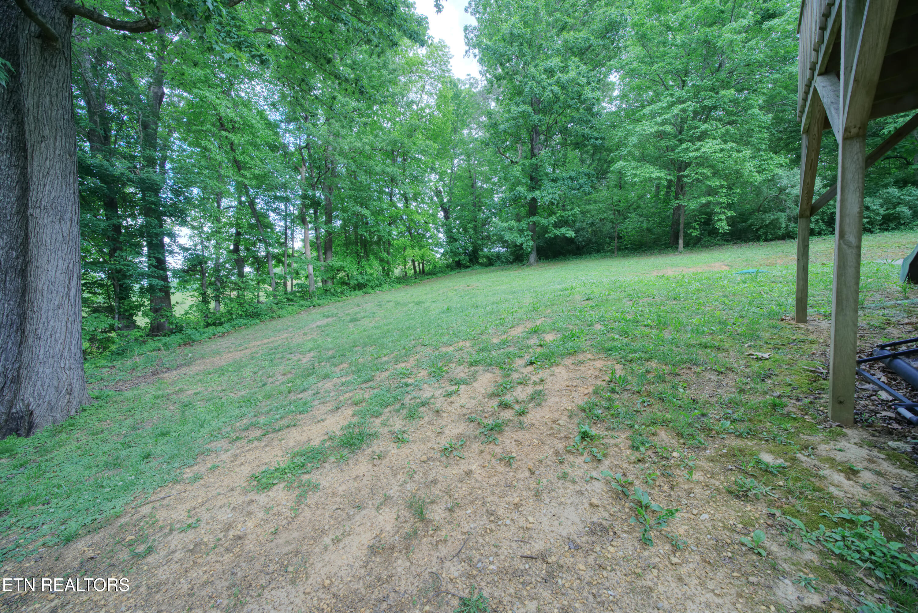 209 Summit Drive Speedwell TN 37870