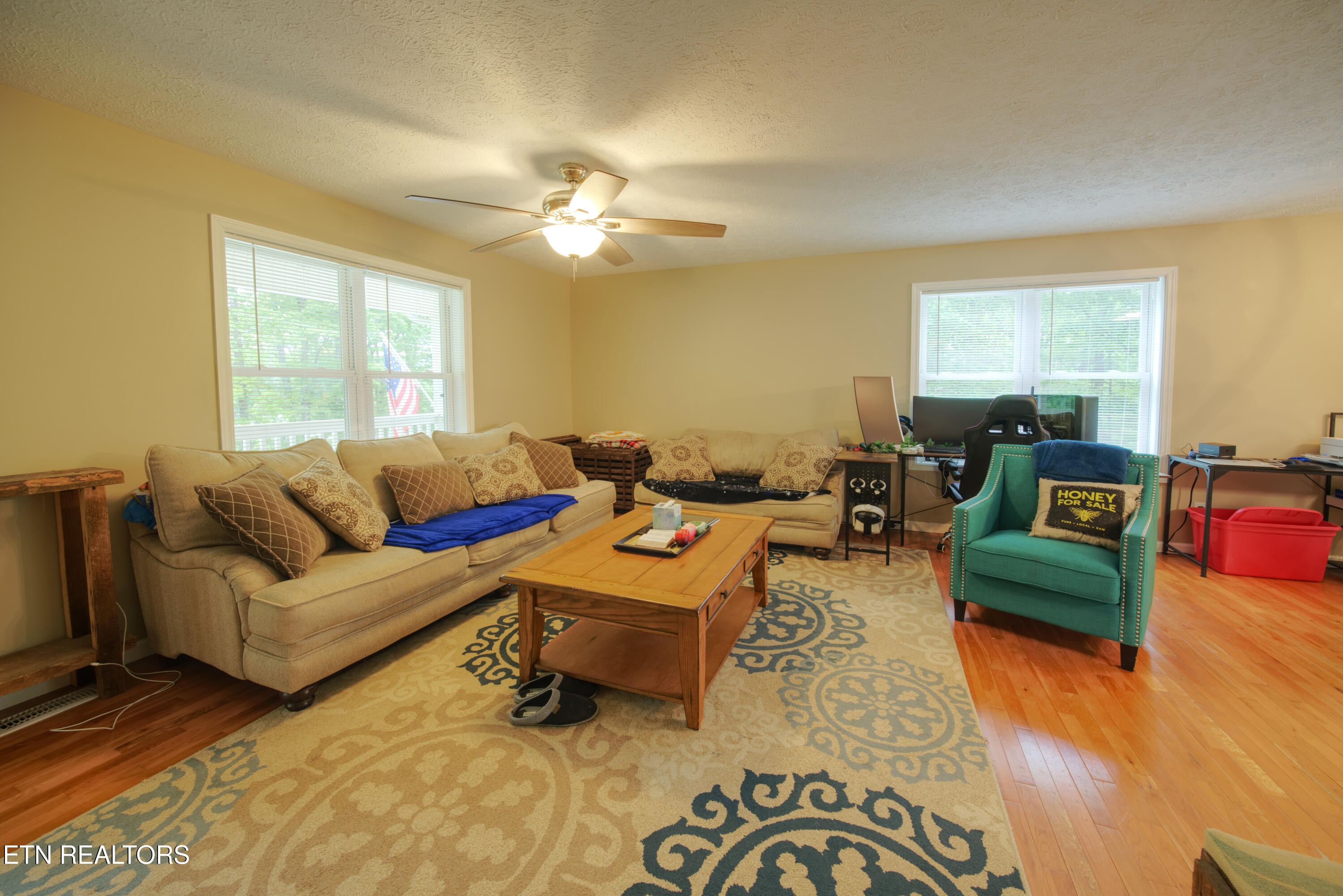 209 Summit Drive Speedwell TN 37870