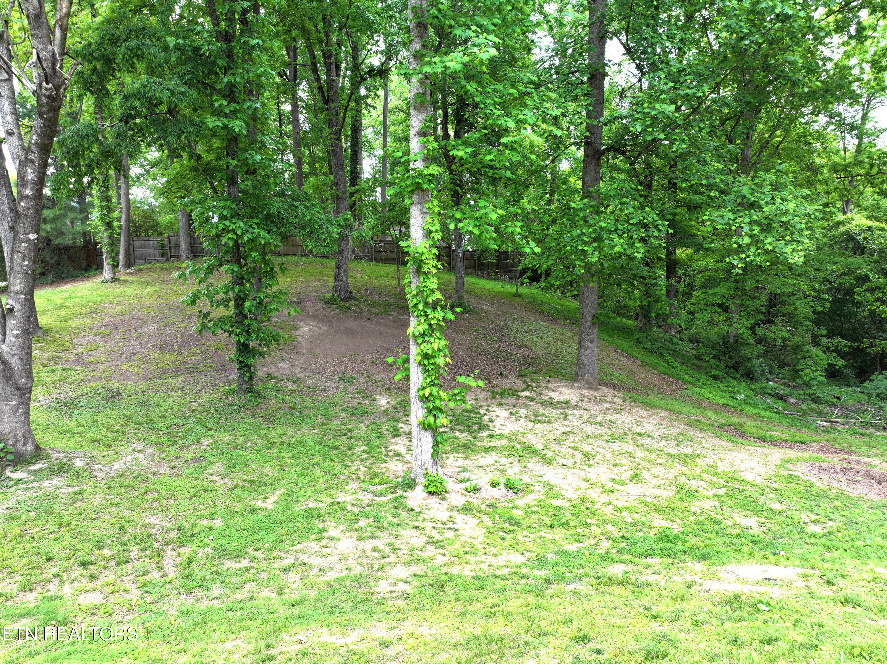 209 Summit Drive Speedwell TN 37870