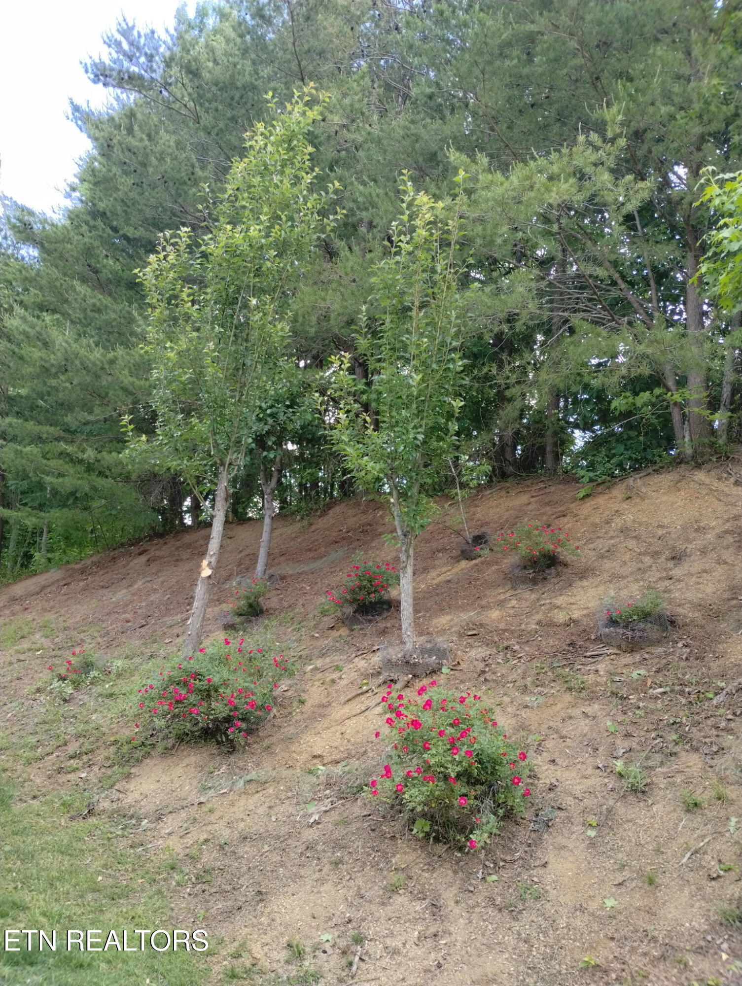 1026 Saint Johns Drive Maryville TN 37801