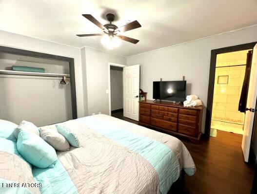 2349 Scenic Loop Road Pigeon Forge TN 37863