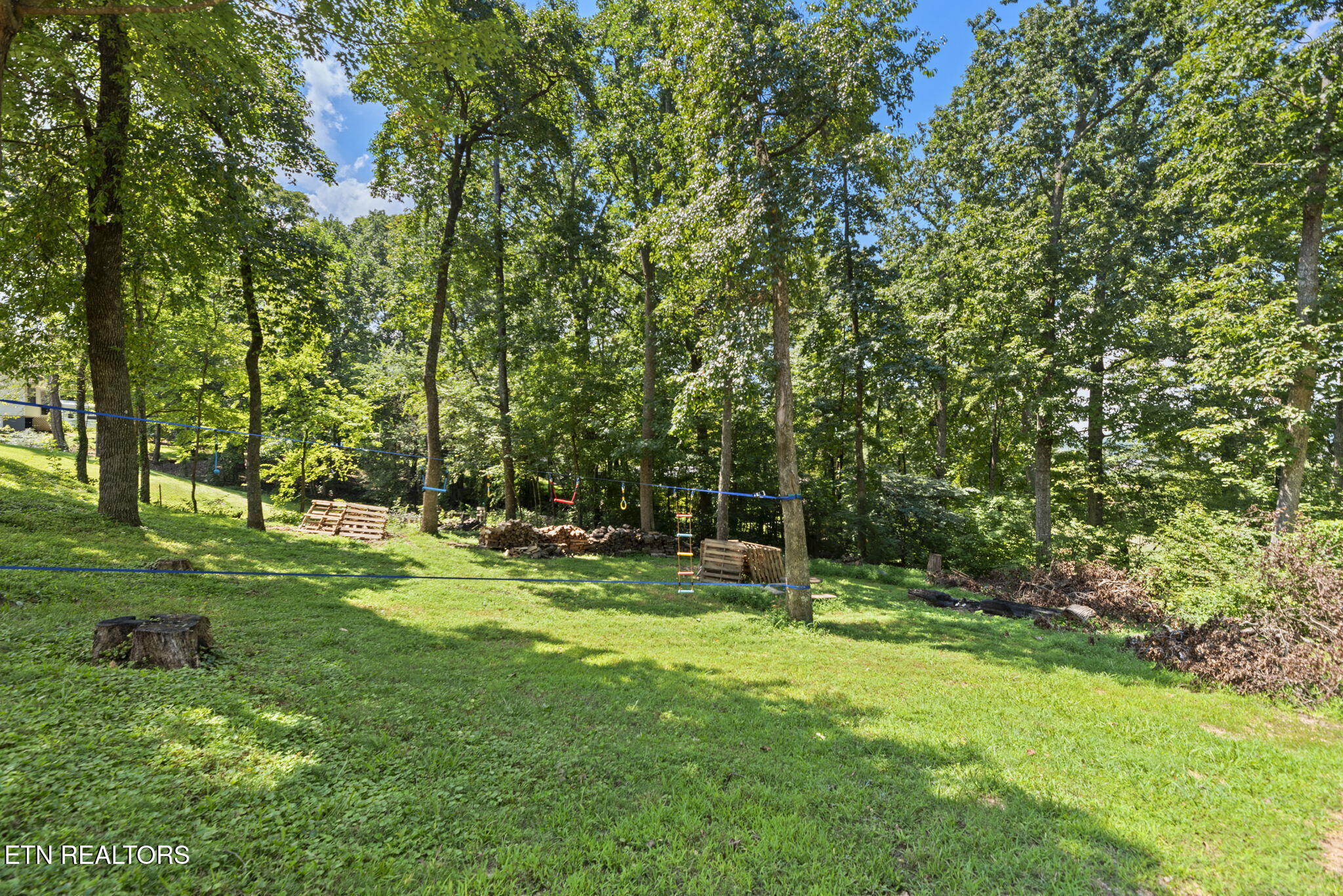 1530 N Courtney Oak Lane Knoxville TN 37938