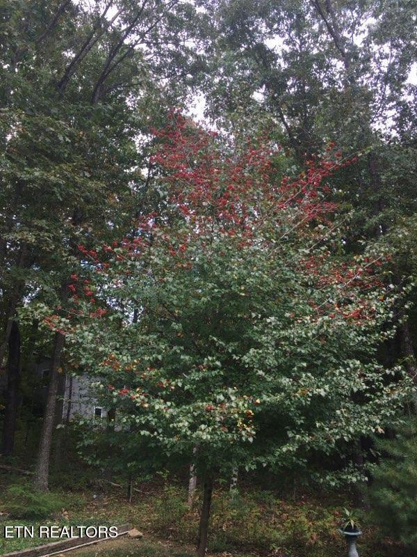 105 Kings Down Drive Fairfield Glade TN 38558