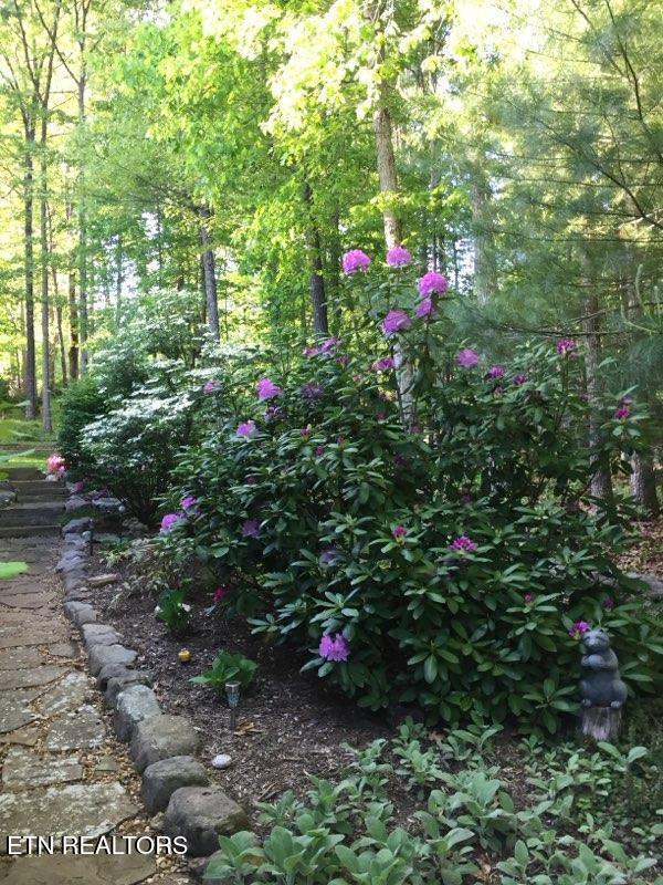 105 Kings Down Drive Fairfield Glade TN 38558