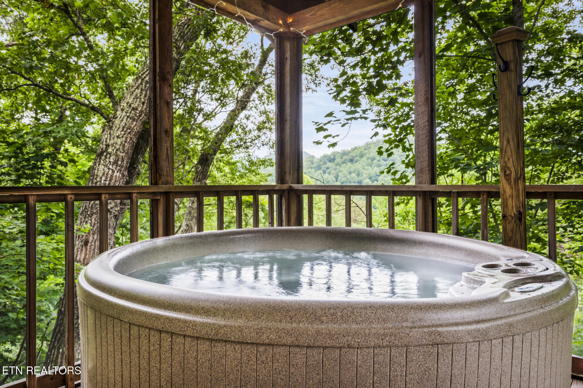 419 Sassafras Trail Pigeon Forge TN 37876