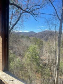 419 Sassafras Trail Pigeon Forge TN 37876