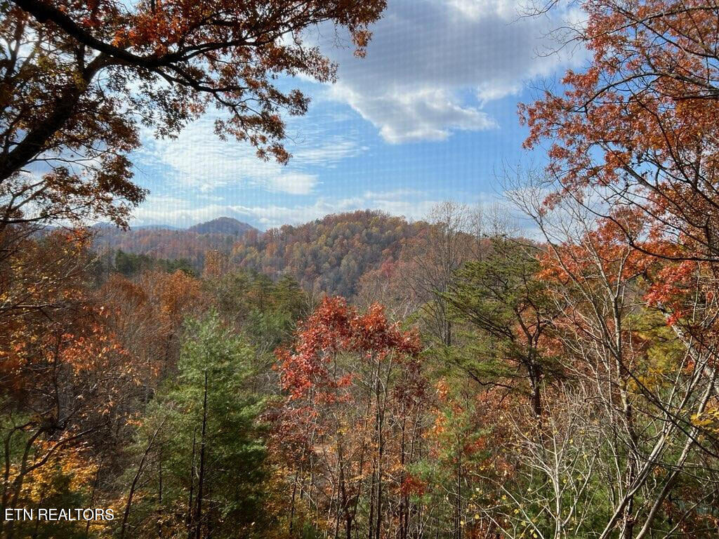 419 Sassafras Trail Pigeon Forge TN 37876