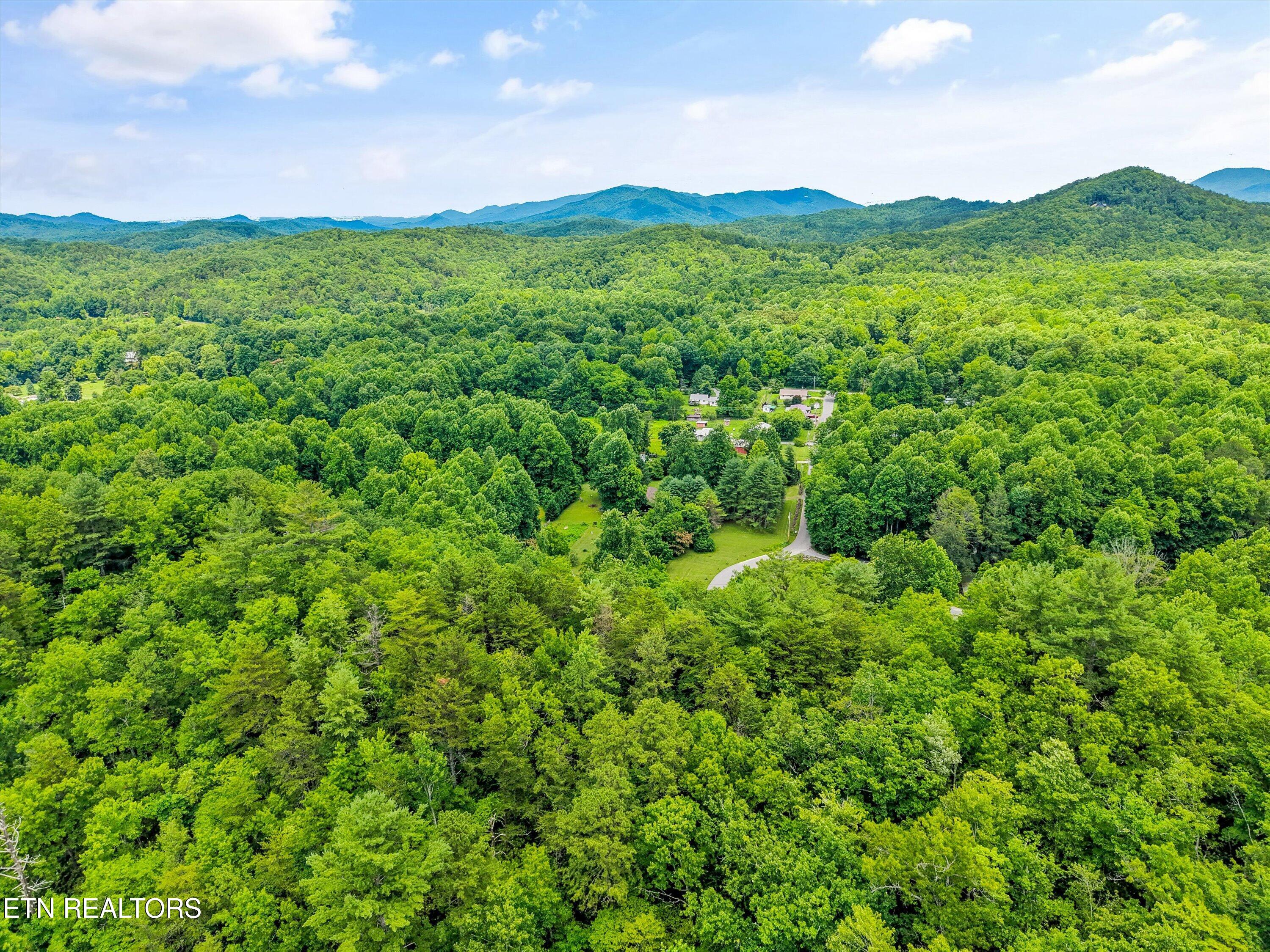 5236 Mathis Branch Road Cosby TN 37722