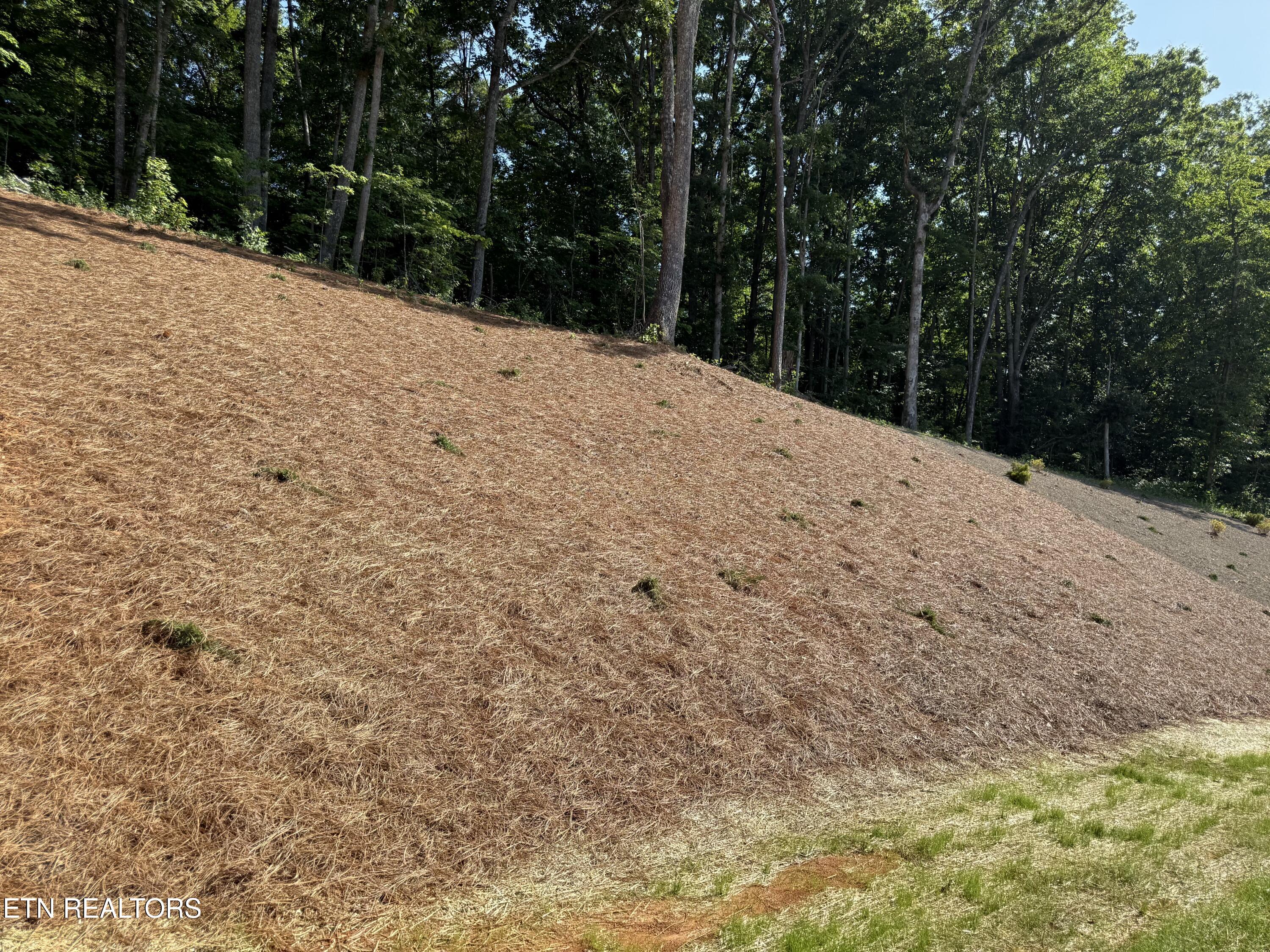 378 Signet Lane Maynardville TN 37807