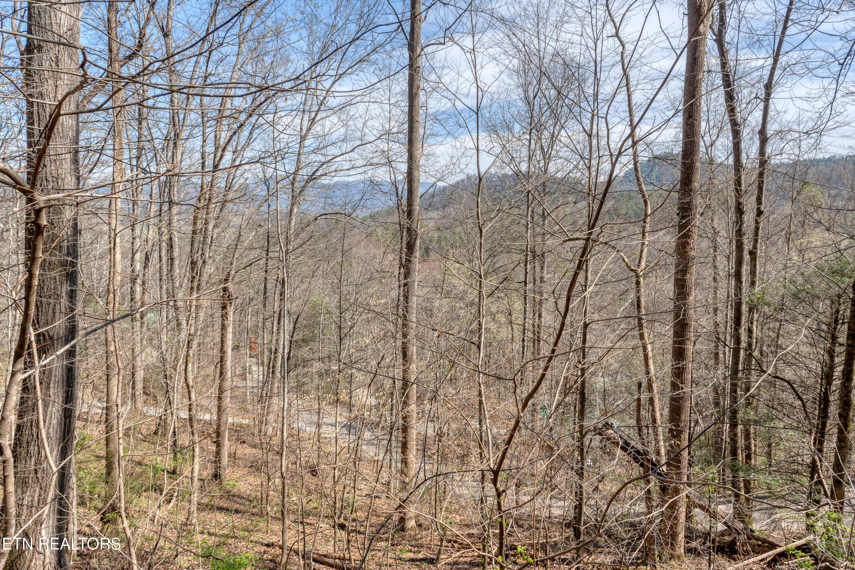 151 Timberwinds Way Townsend TN 37882