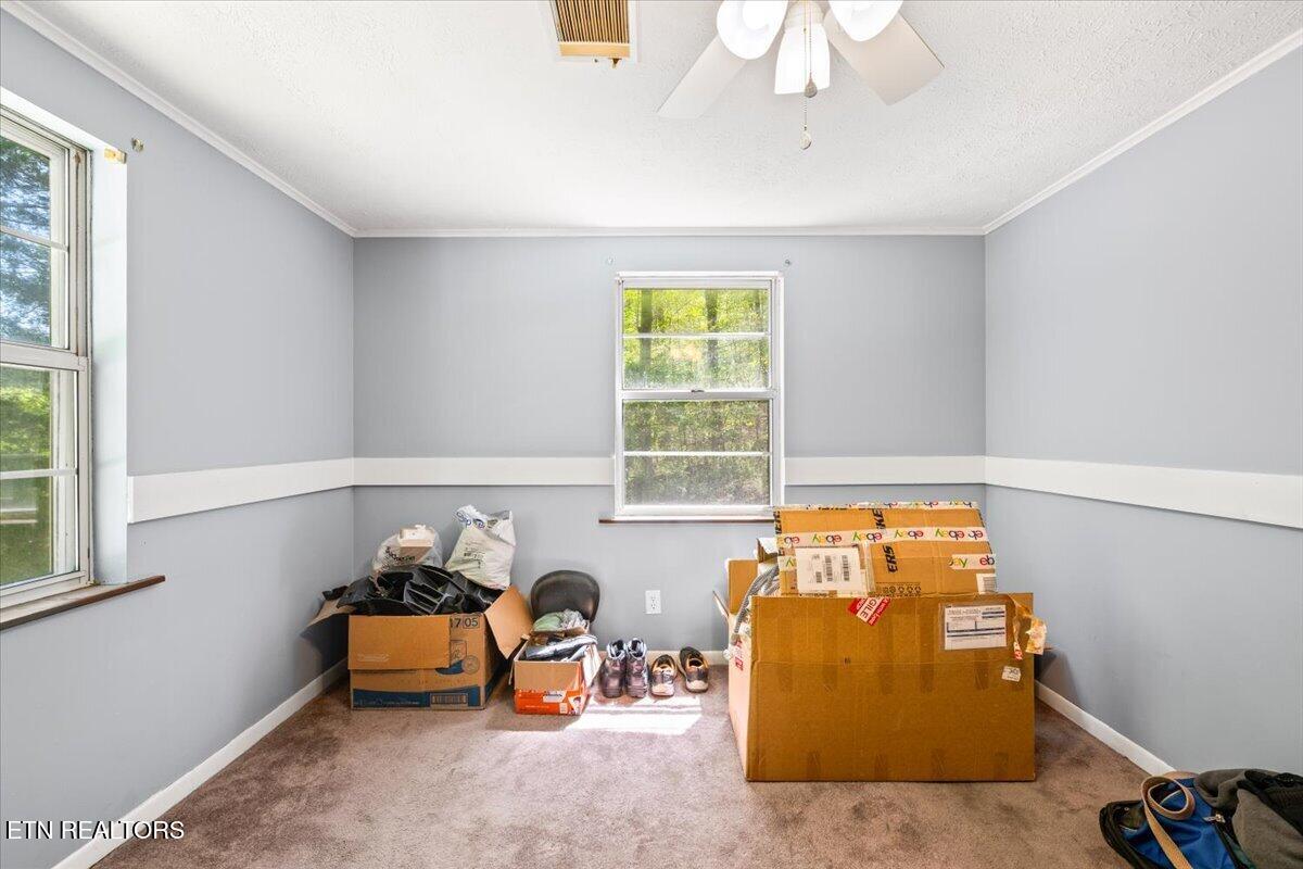 652 Indian Mountain Road Jellico TN 37762