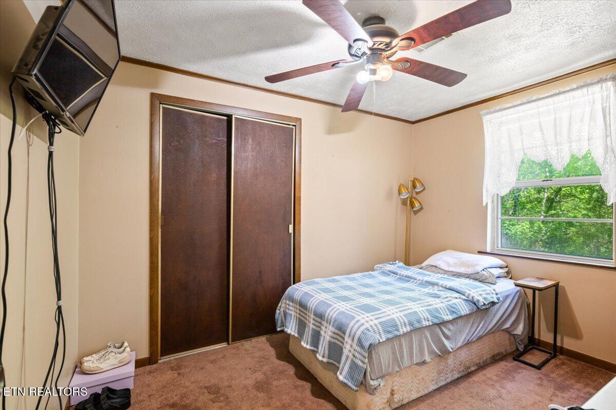 652 Indian Mountain Road Jellico TN 37762