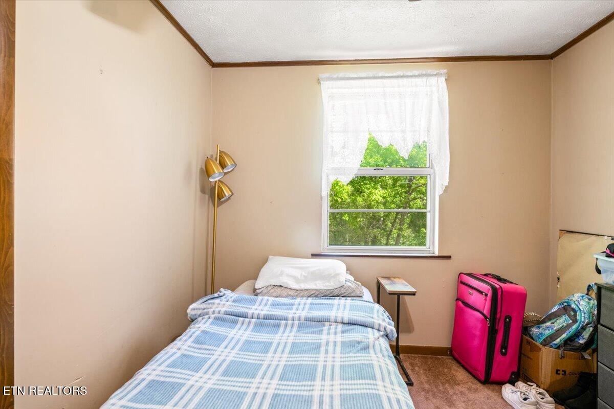 652 Indian Mountain Road Jellico TN 37762