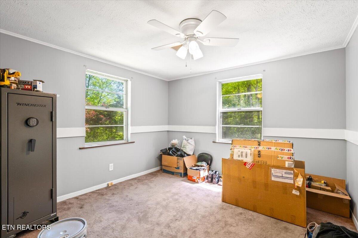 652 Indian Mountain Road Jellico TN 37762