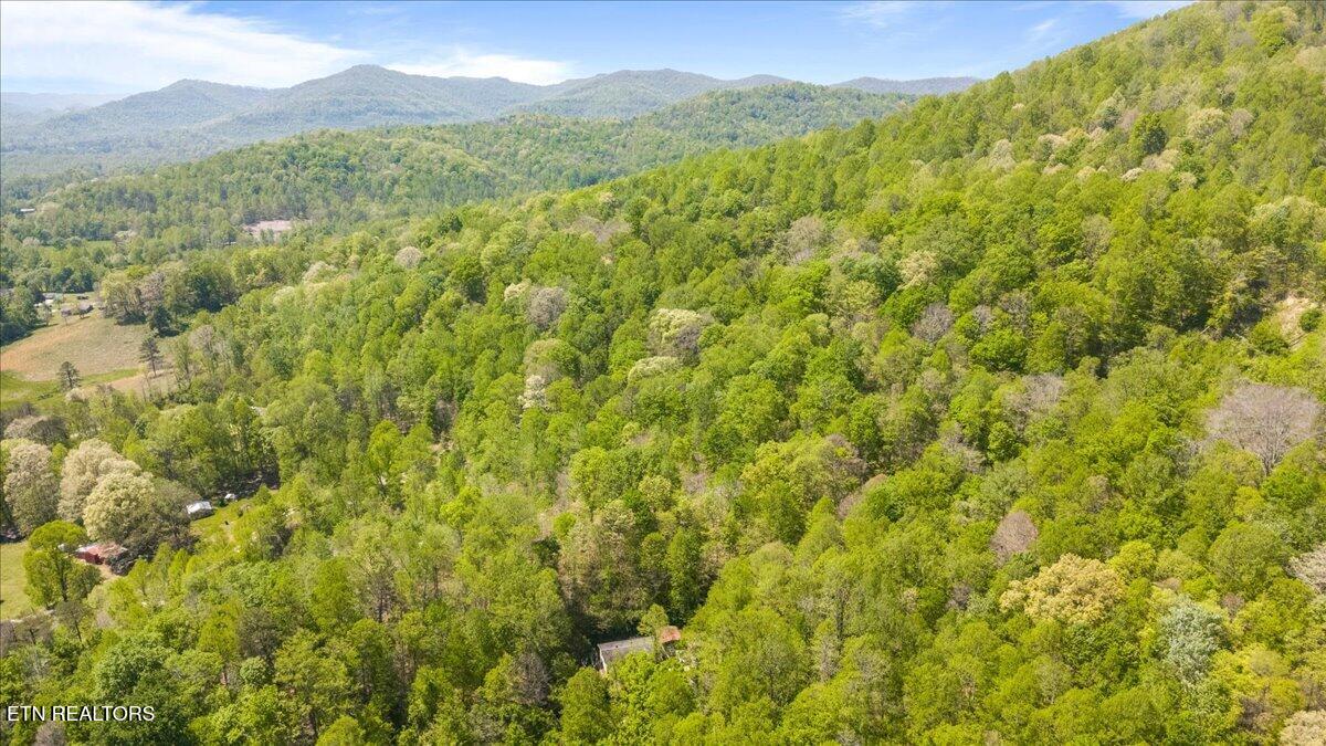 652 Indian Mountain Road Jellico TN 37762