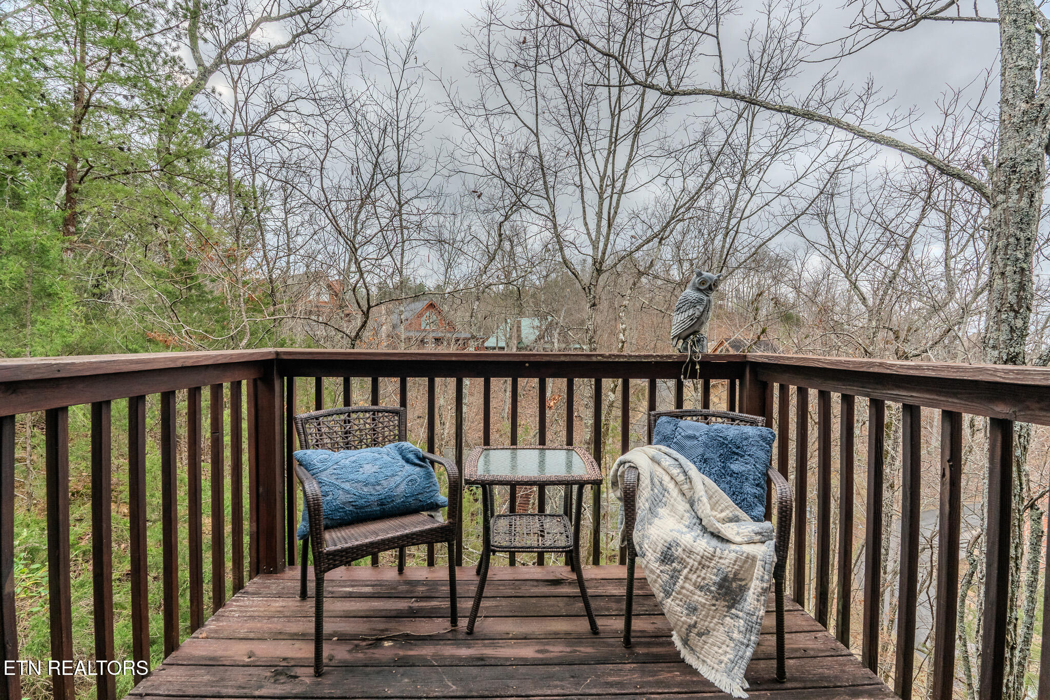 1038 Willard Way Sevierville TN 37876
