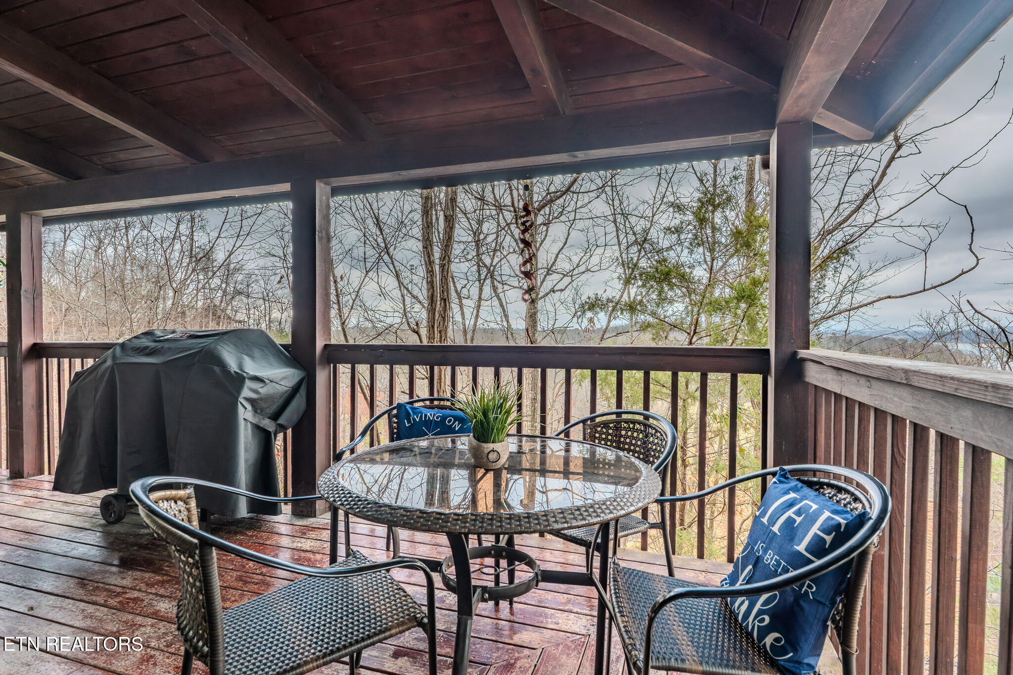 1038 Willard Way Sevierville TN 37876