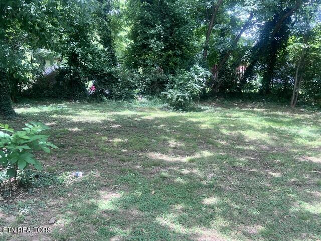 4209 Van Dyke Drive Knoxville TN 37919