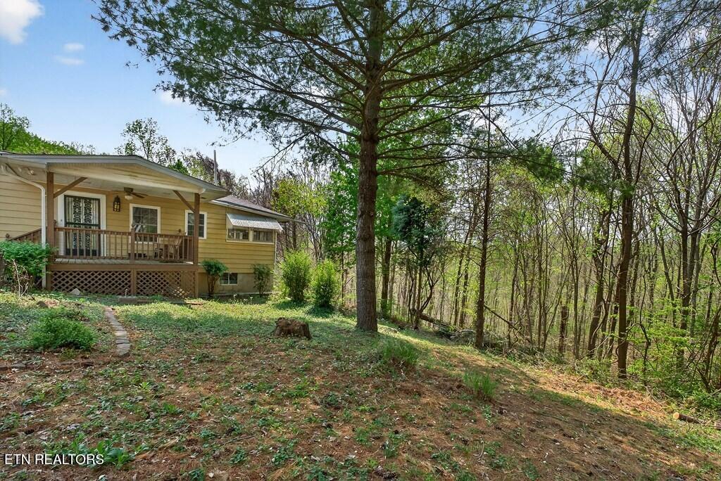 1932 Holly Creek Road Celina TN 38551