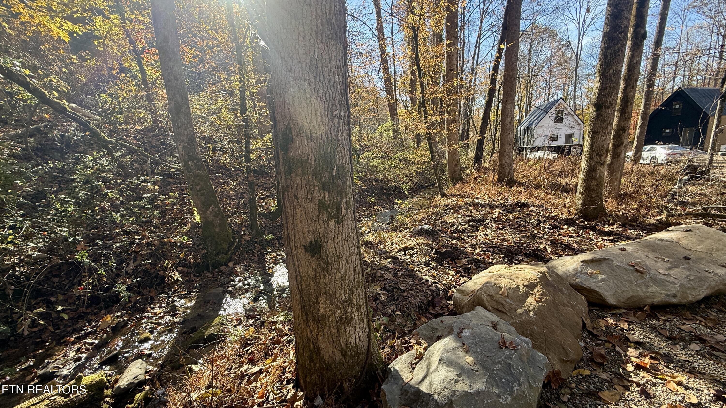 239 Braydens Way Gatlinburg TN 37738