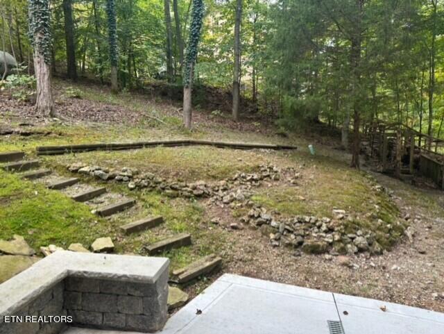 1123 Cove Pointe Road Lafollette TN 37766