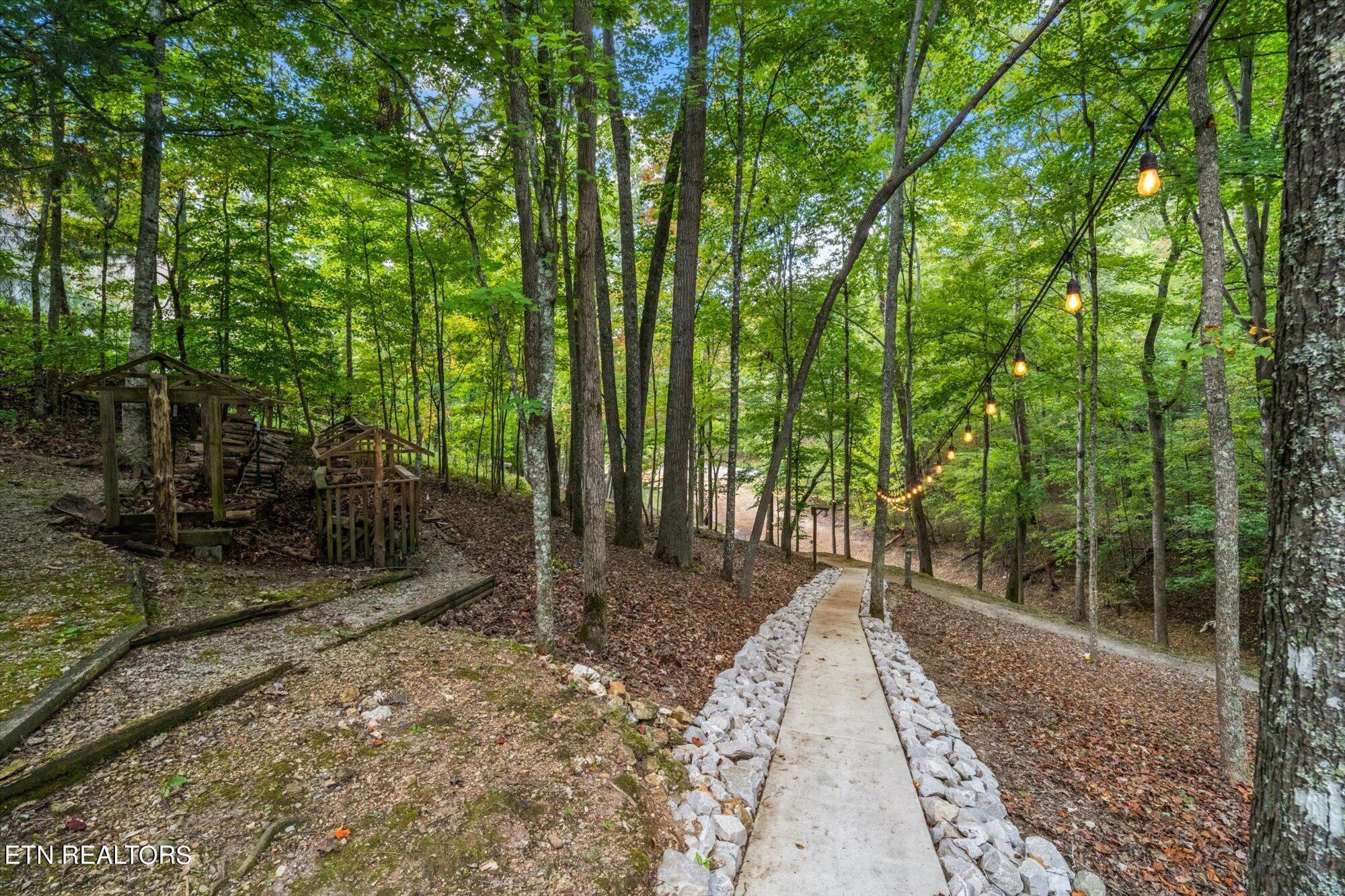 1123 Cove Pointe Road Lafollette TN 37766