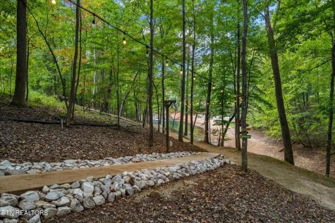 1123 Cove Pointe Road LaFollette TN 37766