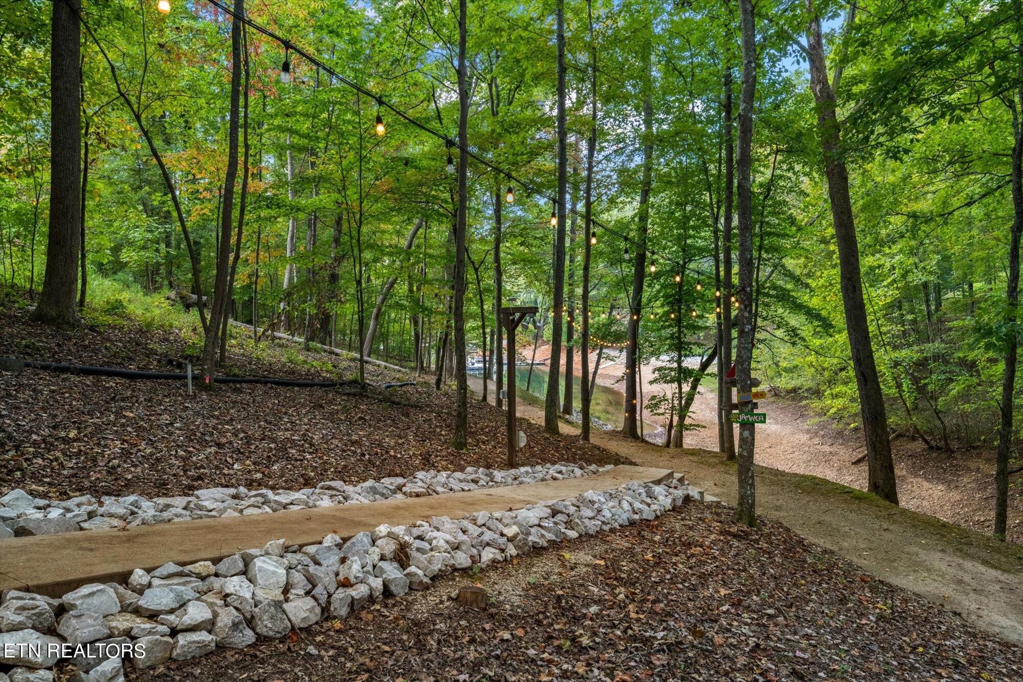 1123 Cove Pointe Road Lafollette TN 37766