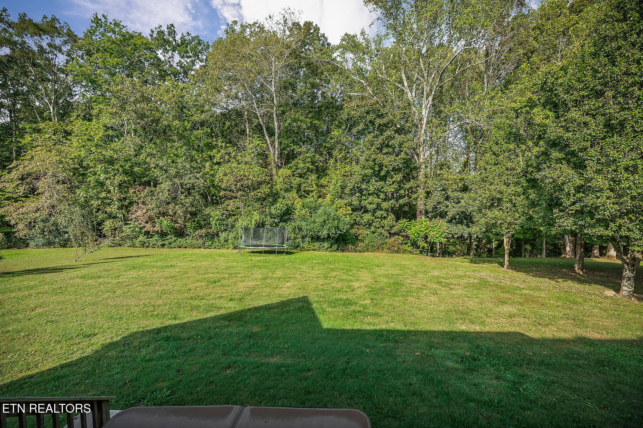 158 Briarwood Lane Smithville TN 37166