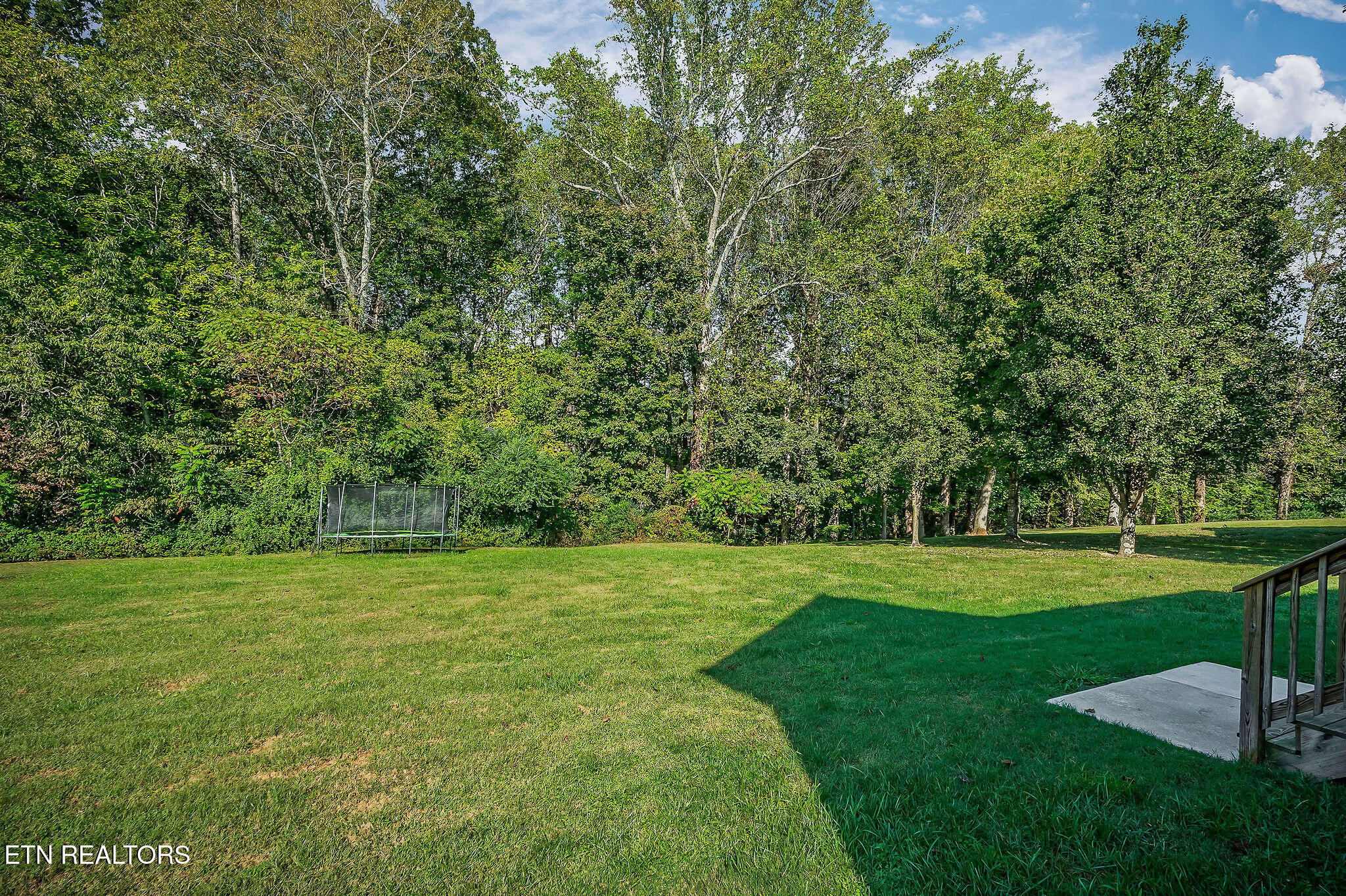 158 Briarwood Lane Smithville TN 37166