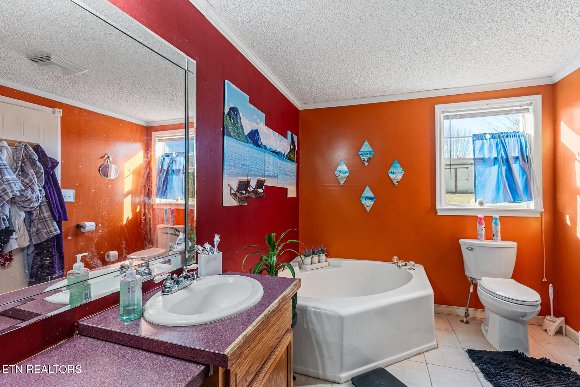 505 Lake Circle Spring City TN 37381