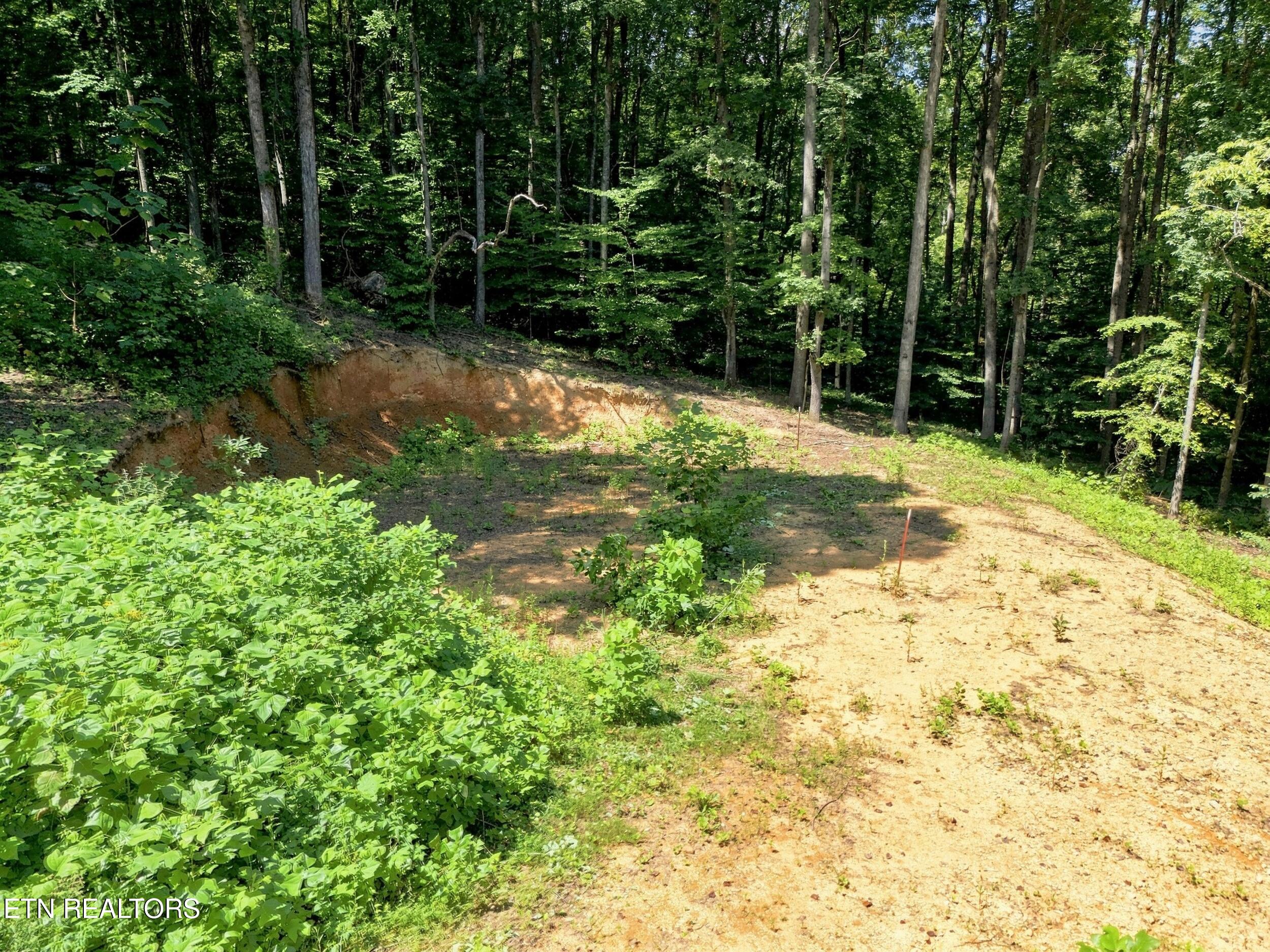 617 Skyline Drive Clinton TN 37716