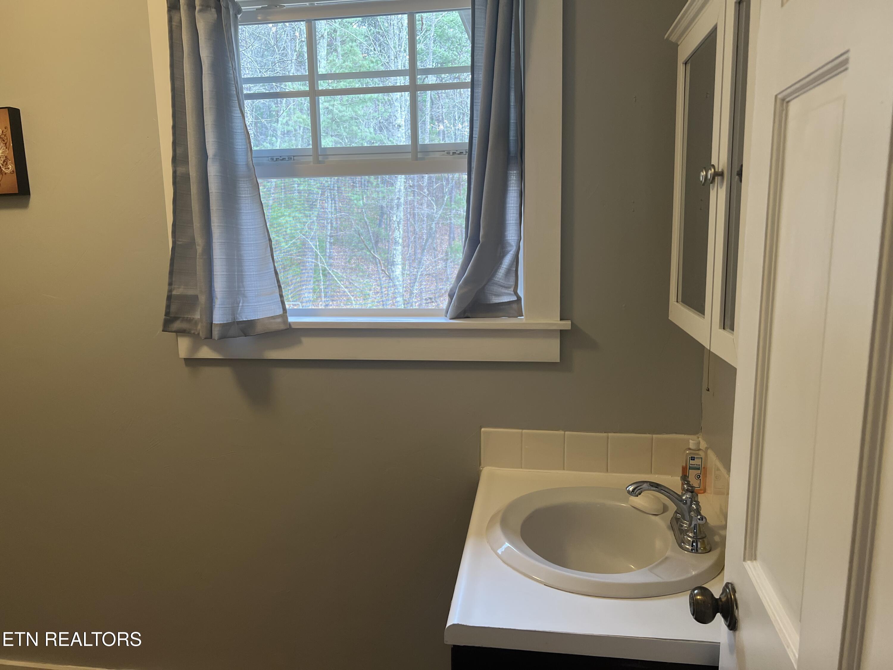 203 Tall Pine Circle Tellico Plains TN 37385