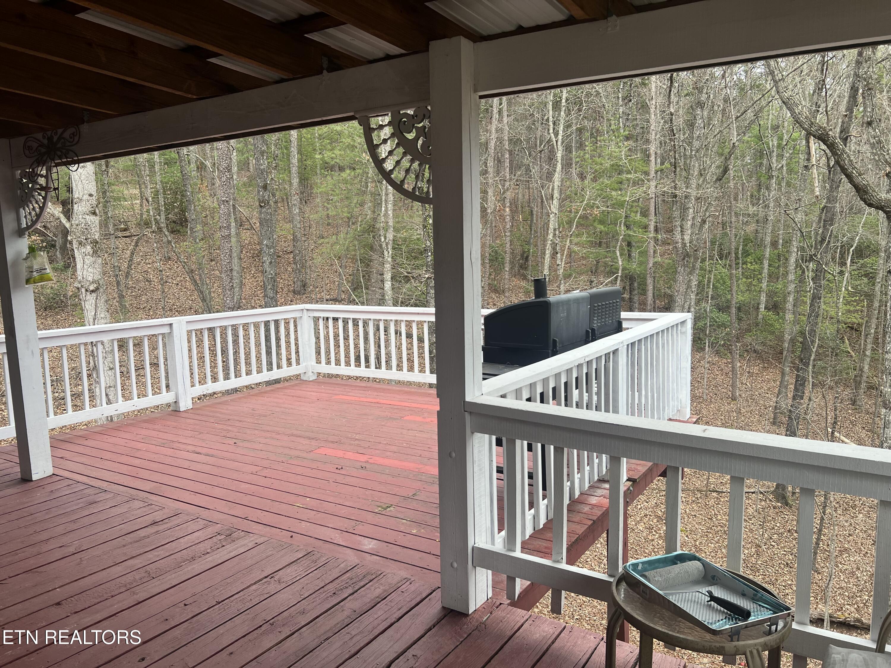 203 Tall Pine Circle Tellico Plains TN 37385